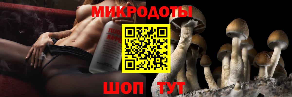 Псилоцибиновые грибы MAGIC MUSHROOMS Калач-на-Дону
